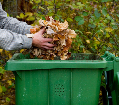 Photo of person placing handful of leaves into a yard waste bin.